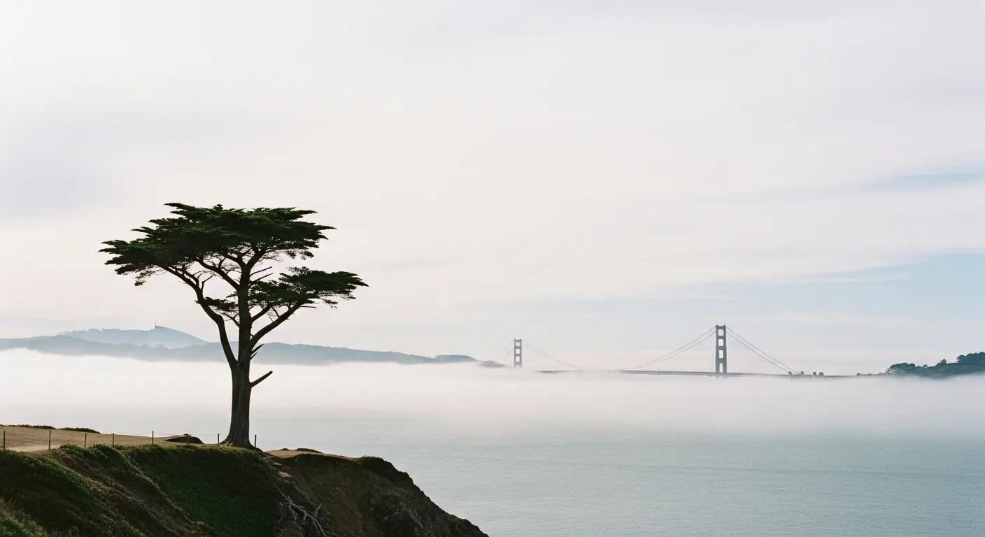Stämningsfull vy över San Francisco-bukten i mjukt morgonljus. Guide med tips för dig som planerar att flytta till San Francisco och arbeta i Kalifornien.